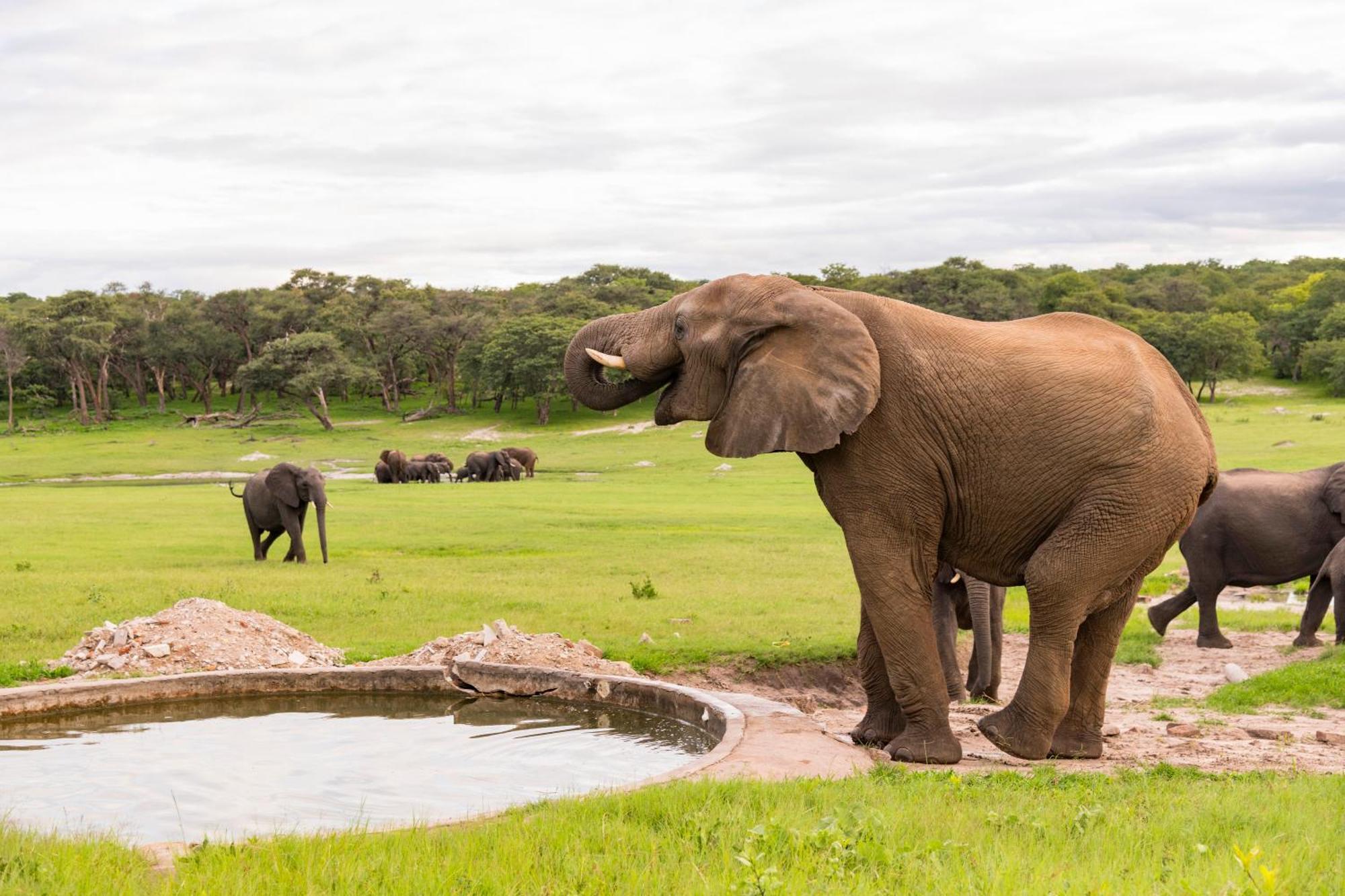 Hwange Safari Lodge Dete Buitenkant foto
