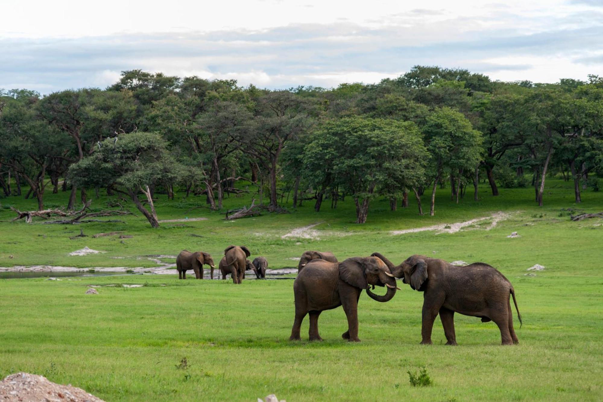 Hwange Safari Lodge Dete Buitenkant foto