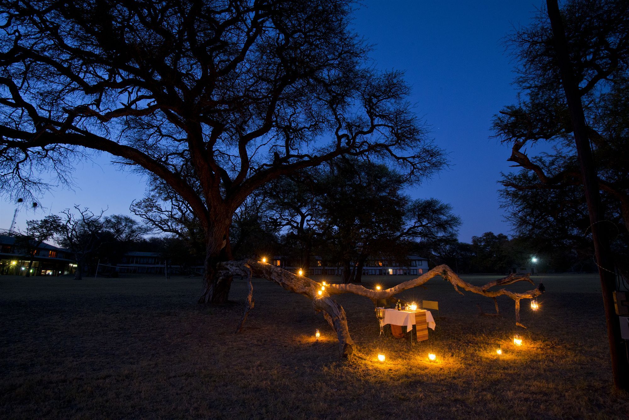 Hwange Safari Lodge Dete Buitenkant foto